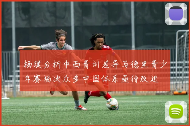杨璞分析中西青训差异马德里青少年赛场次众多中国体系亟待改进