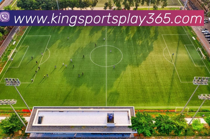 king体育APP 高清赛事图